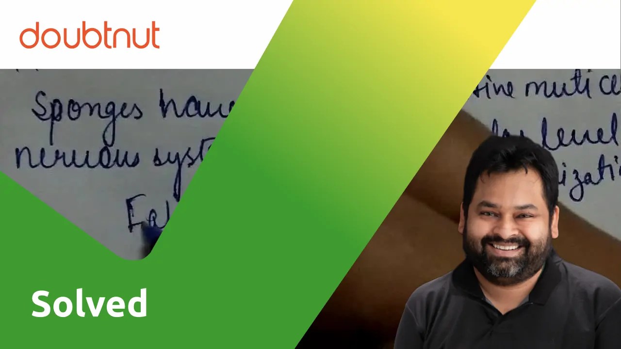 Sponges have a nervous system.