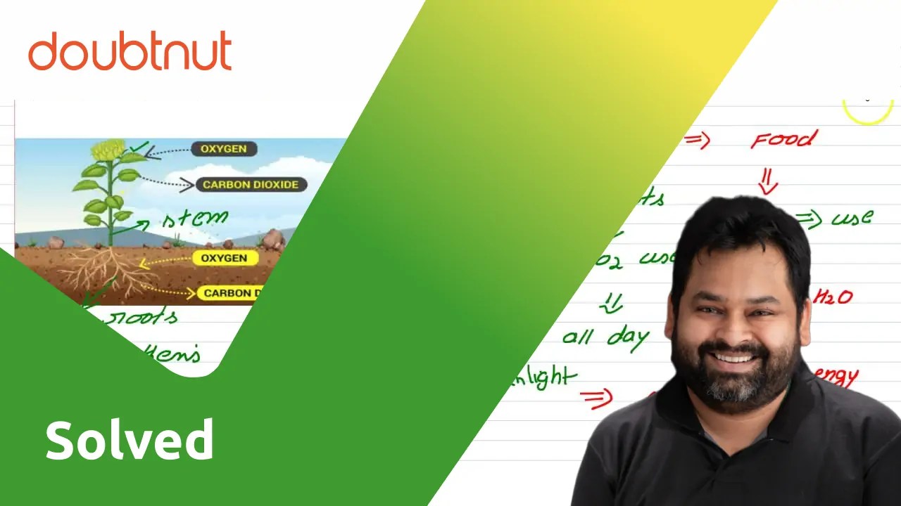 DO PLANTS ALSO RESPIRE?