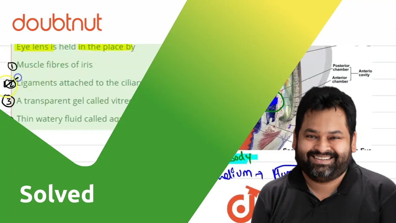 Eye lens is held in the place by