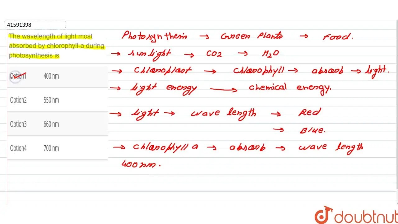 The wavelength of light most absorbed by chlorophylla during photosyn