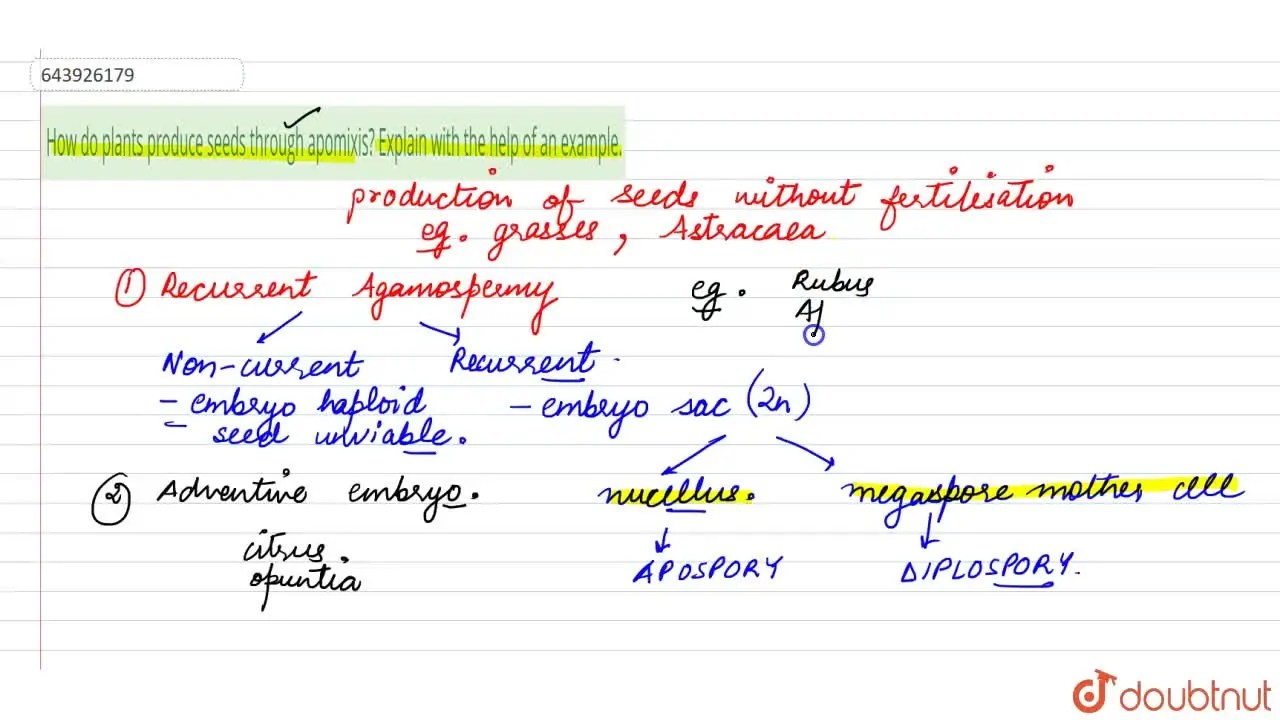 How do plants produce seeds through apomixis? Explain with the help of