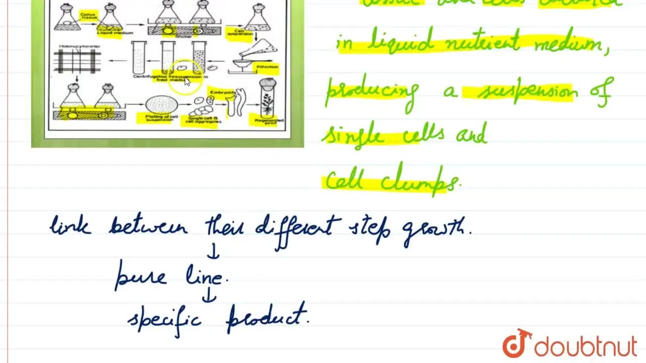 [Punjabi Solution] Explain the terms Suspension culture