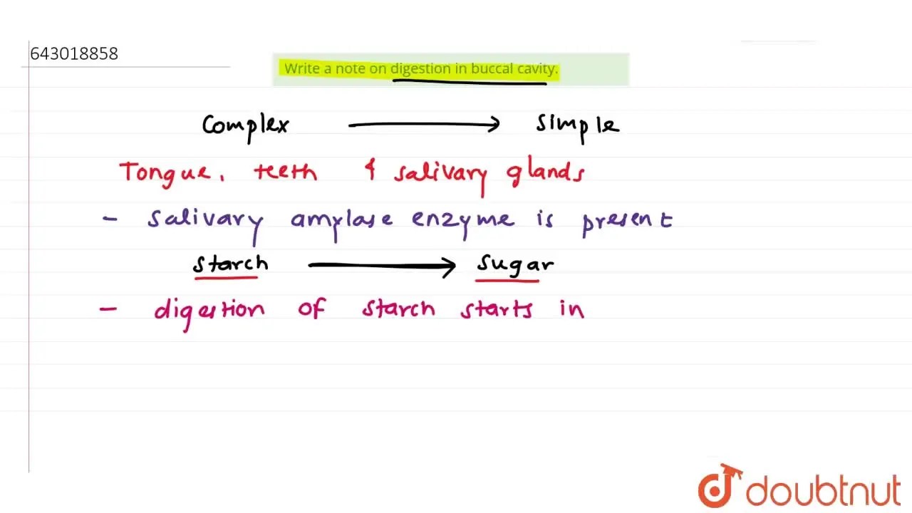 [Marathi Solution] Write a note on digestion in buccal cavity.
