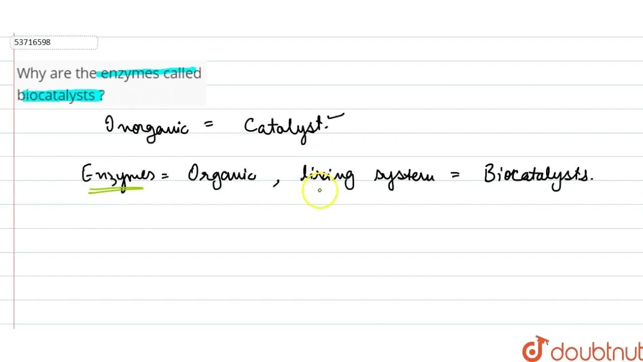 Why are the enzymes called biocatalysts