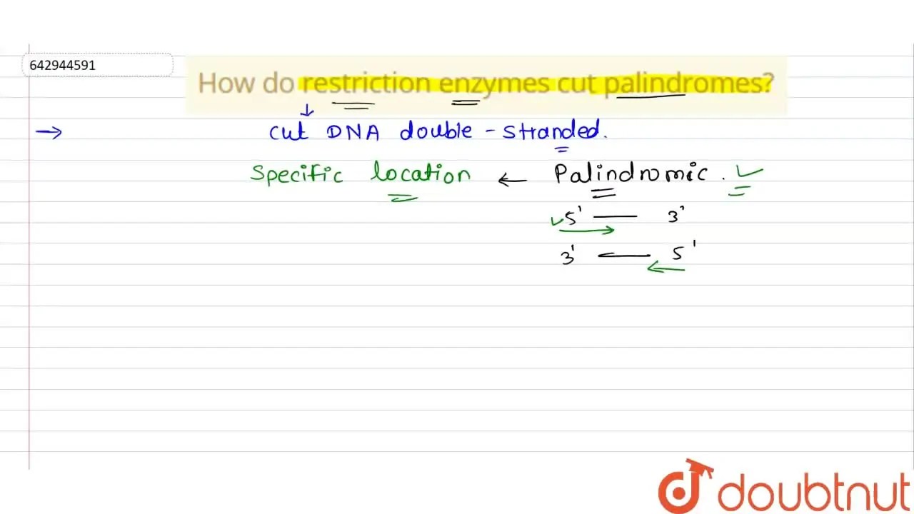 [Marathi Solution] How do restriction enzymes cut palindromes?