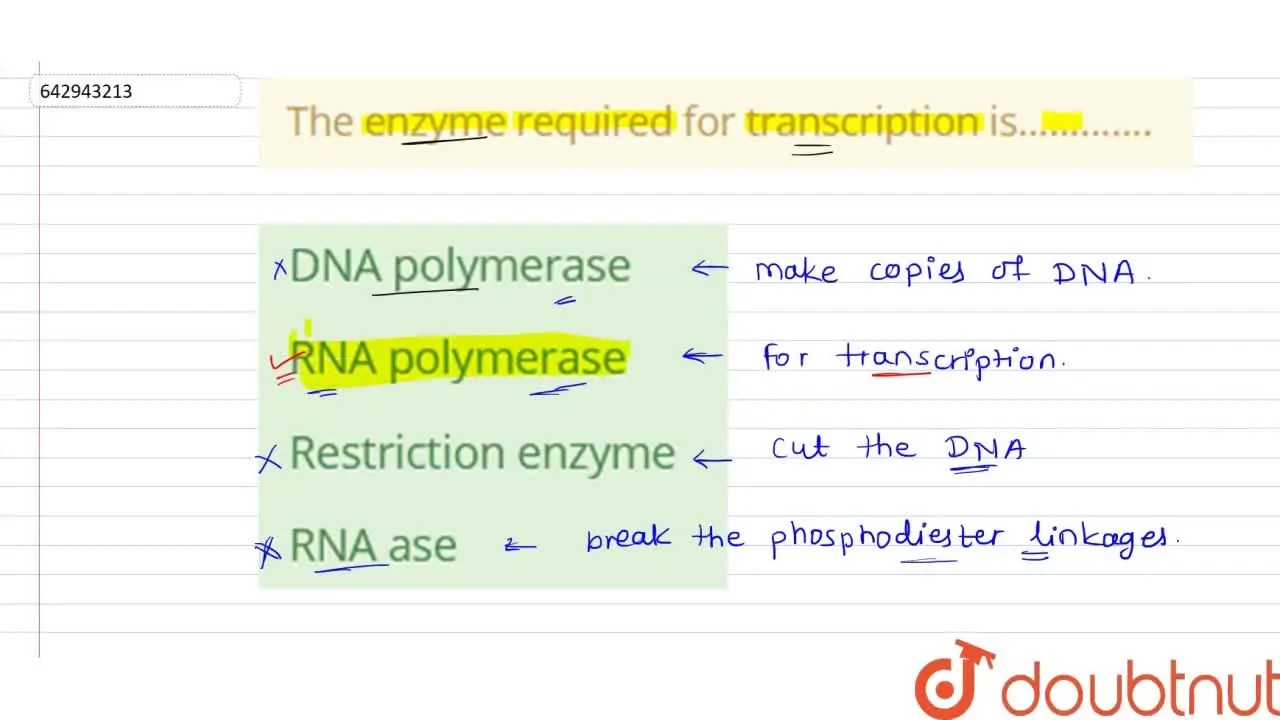[Marathi Solution] The enzyme required for transcription is...........