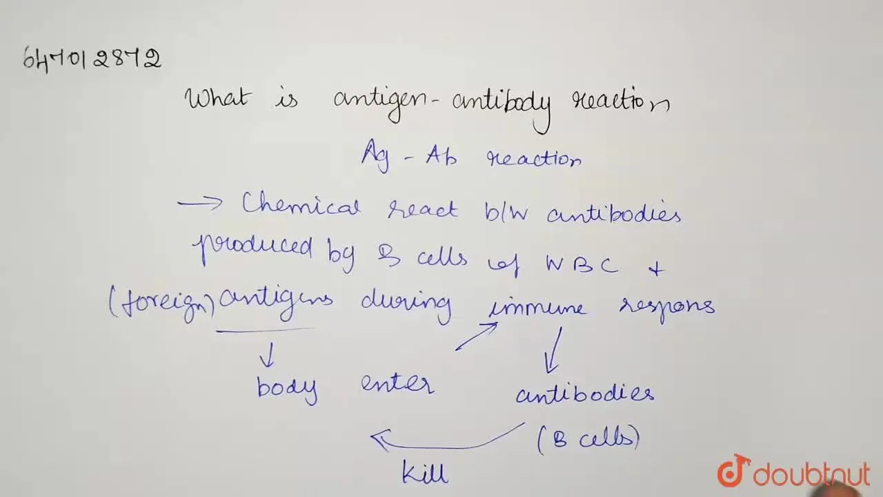 [Tamil Solution] What is antigen antibody reaction?