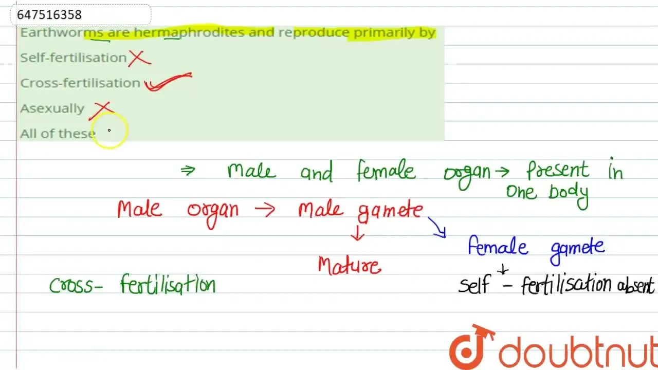 [Punjabi Solution] Earthworms are hermaphrodites and reproduce primari