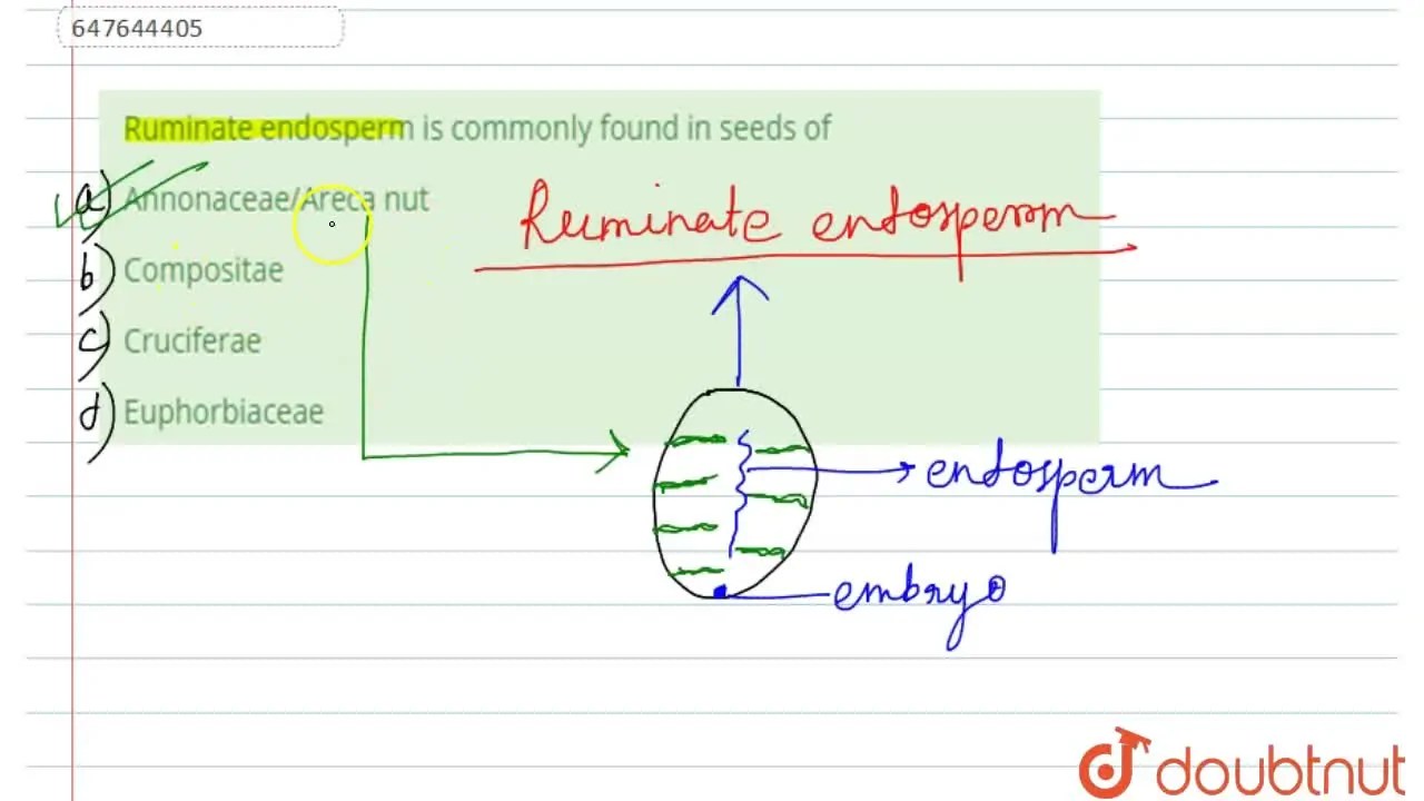 [Bengali Solution] Ruminate endosperm is commonly found in seeds of