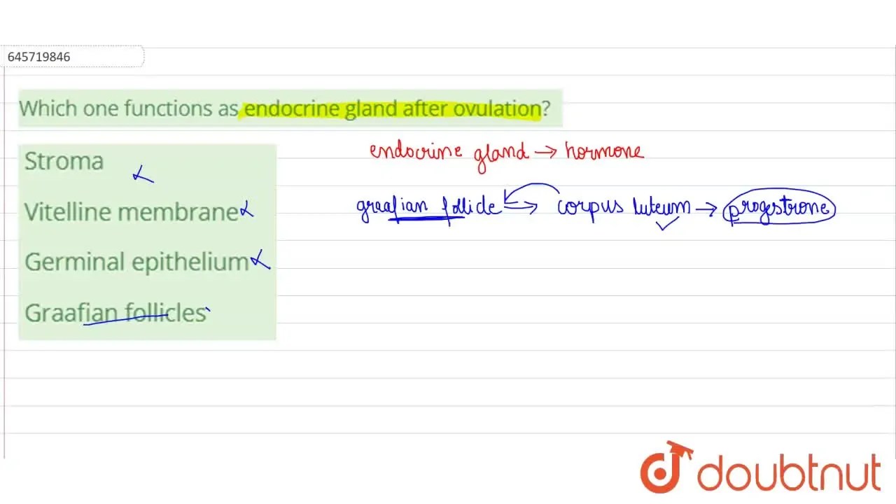 [Malayalam Solution] Which one functions as endocrine gland after ovul