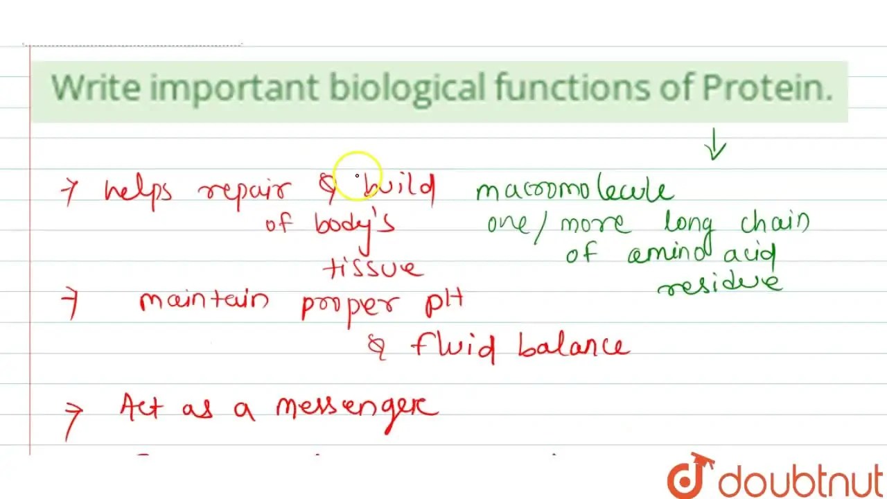 [Odia] Write important biological functions of Protein.