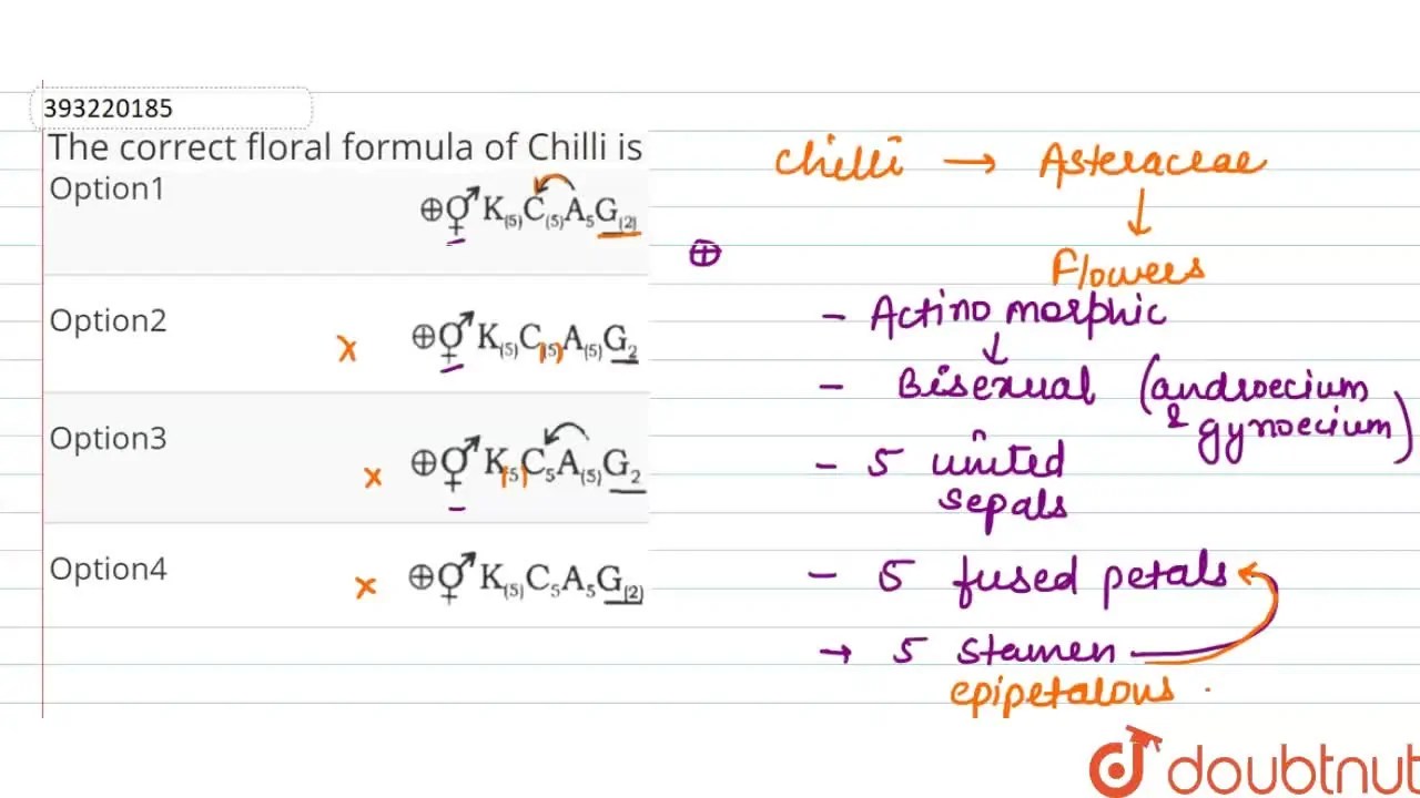 The correct floral formula of Chilli is