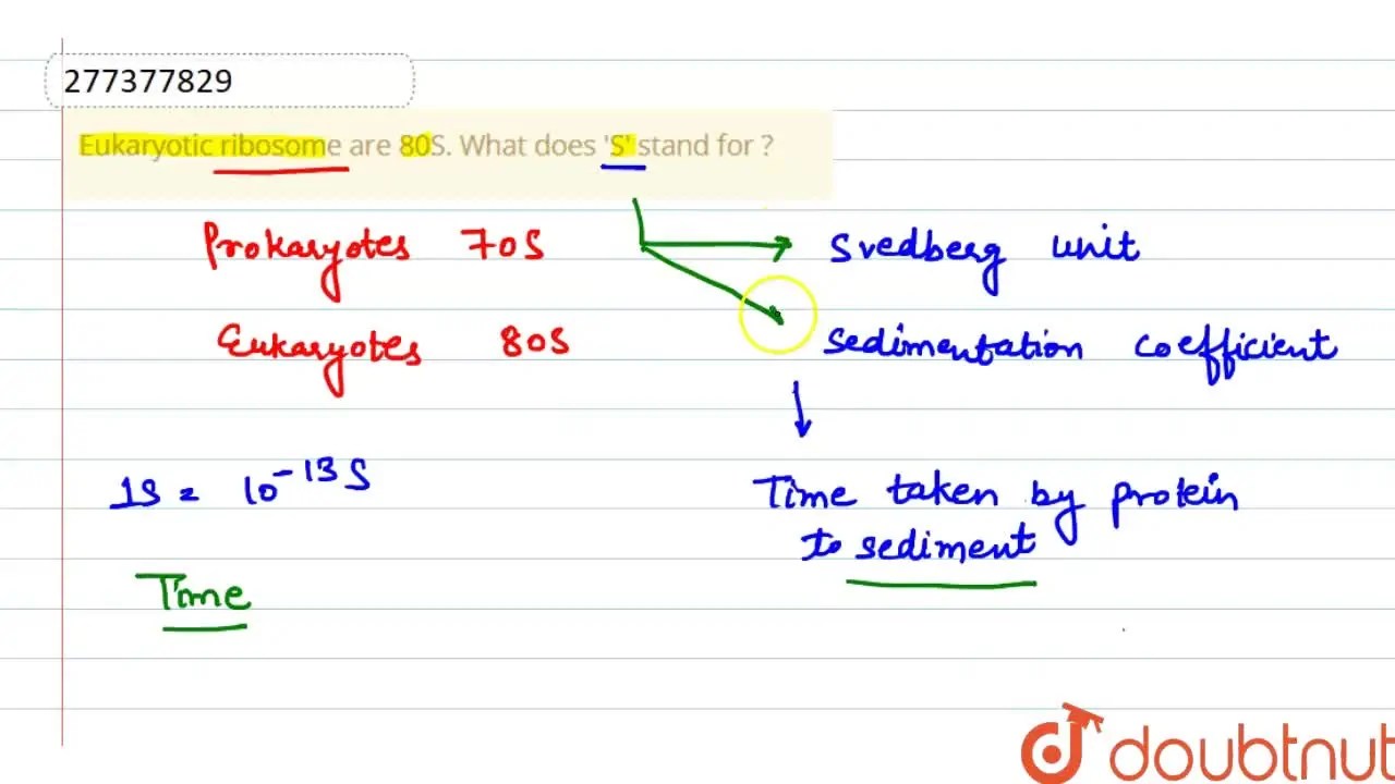 Eukaryotic ribosome are 80S. What does 'S' stand for