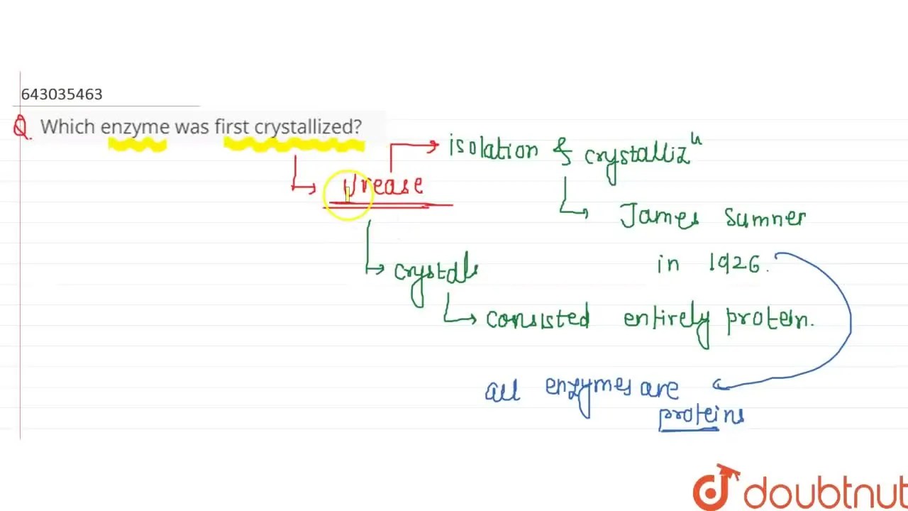 [Marathi Solution] Which enzyme was first crystallized?