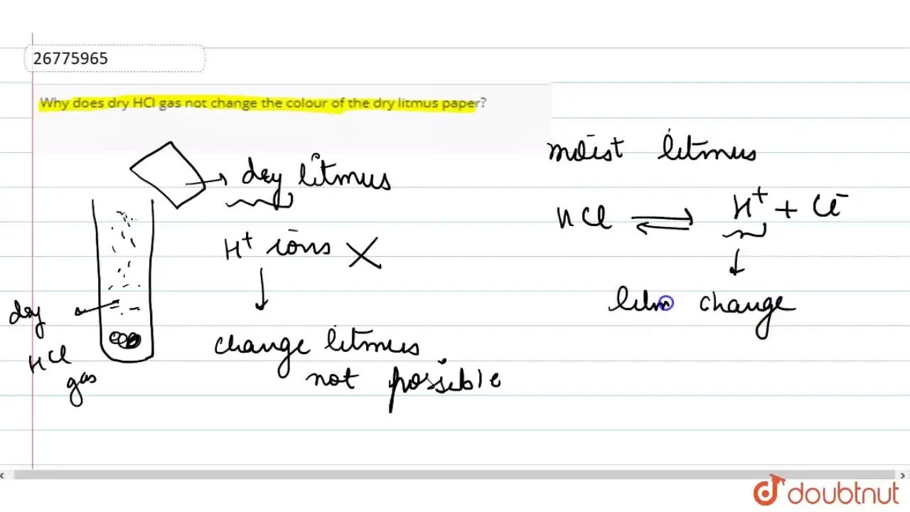 Why does dry HCl gas not change the colour of the dry litmus paper?