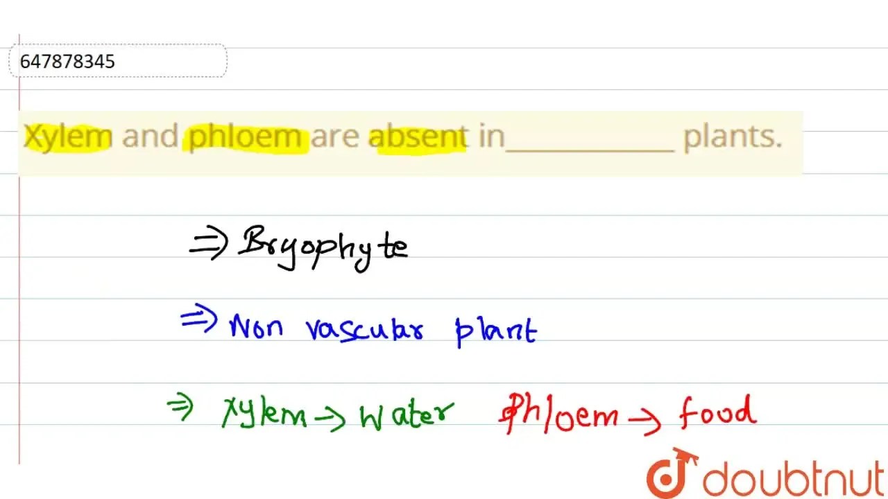 [Tamil Solution] Xylem and phloem are absent in plants.