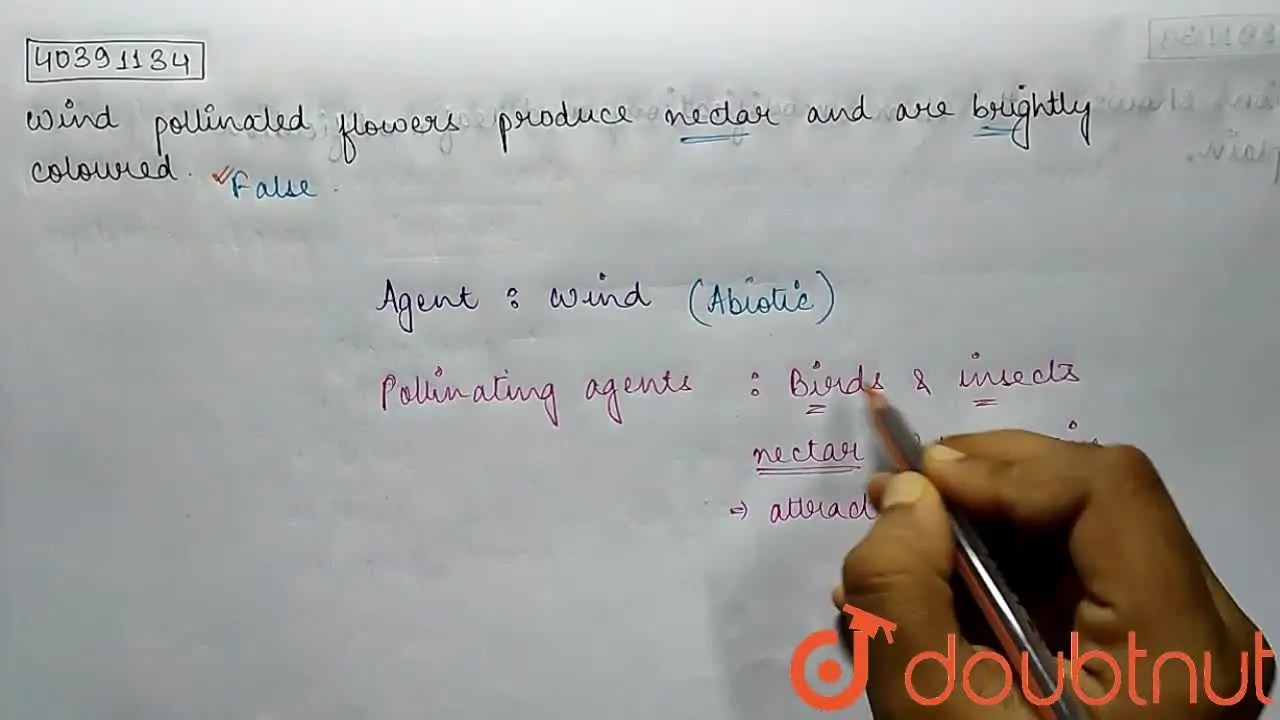 Wind pollinated flowers produce nectar and are brightly coloured.