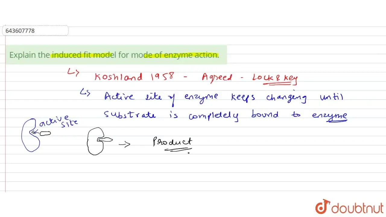 [Marathi Solution] Explain the induced fit model for mode of enzyme ac