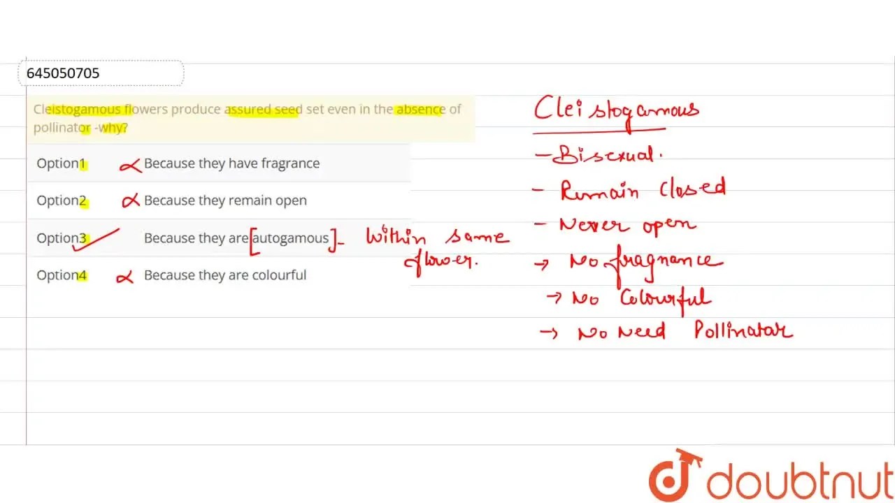 Cleistogamous flowers produce assured seed set even in the absence of