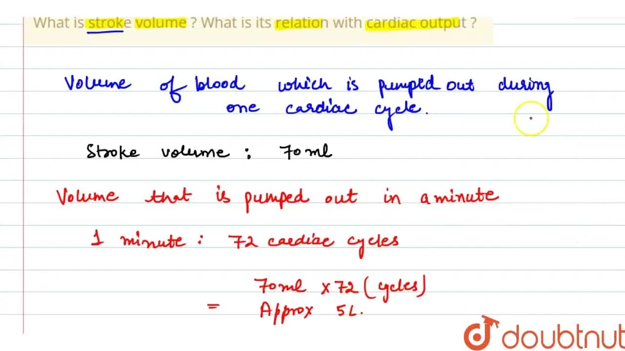 What is stroke volume ? What is its relation with cardiac output