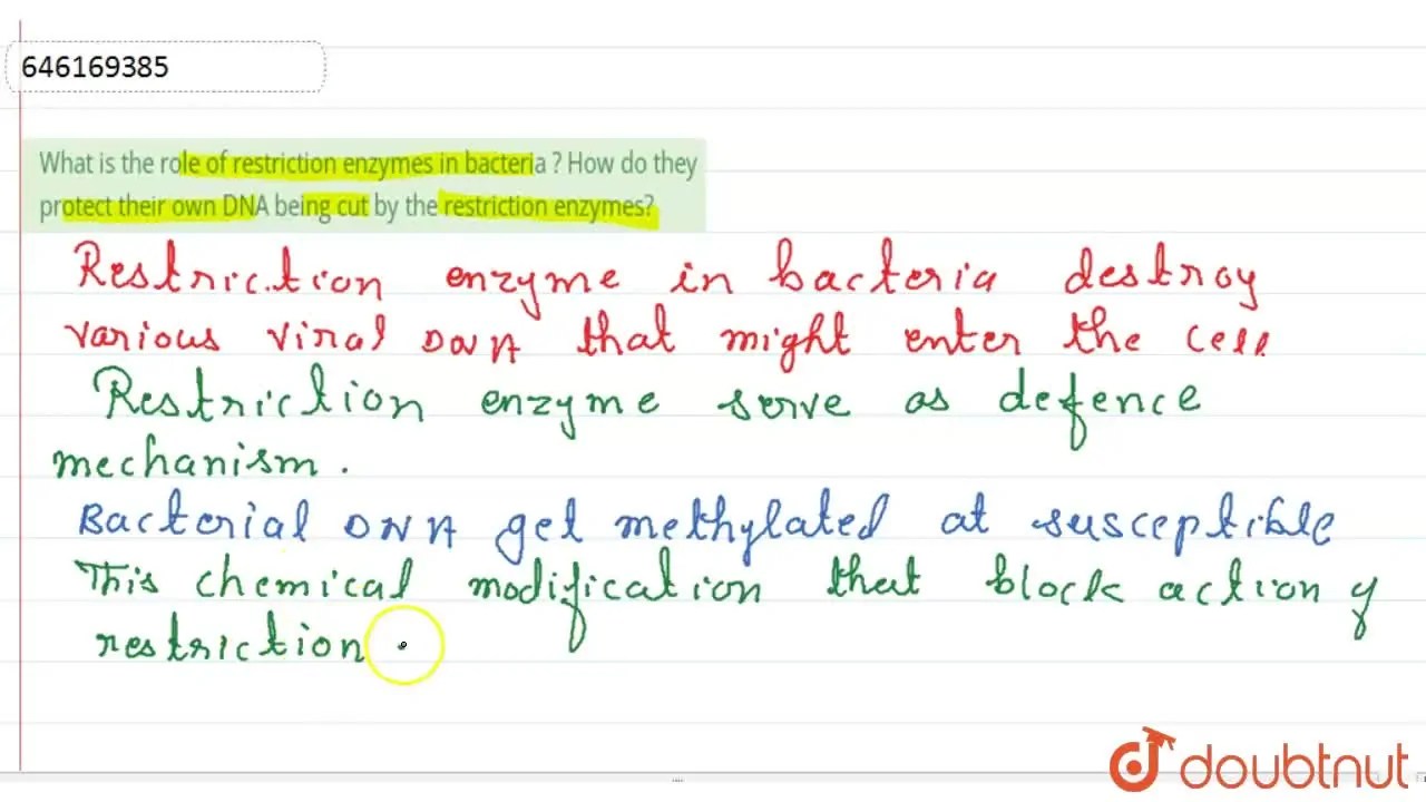 [Marathi Solution] What is the role of restriction enzymes in bacteria