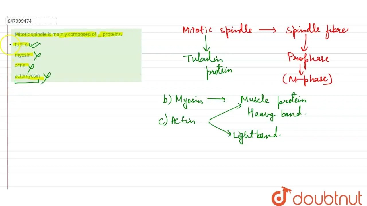 [Odia Solution] Mitotic spindle is mainly composed of proteins.
