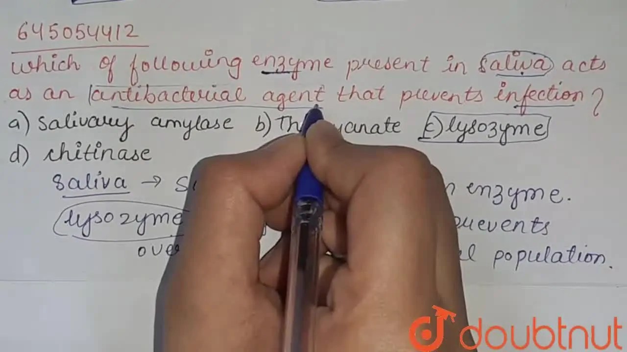 Which of the following enzyme present in saliva acts as an antibacteri