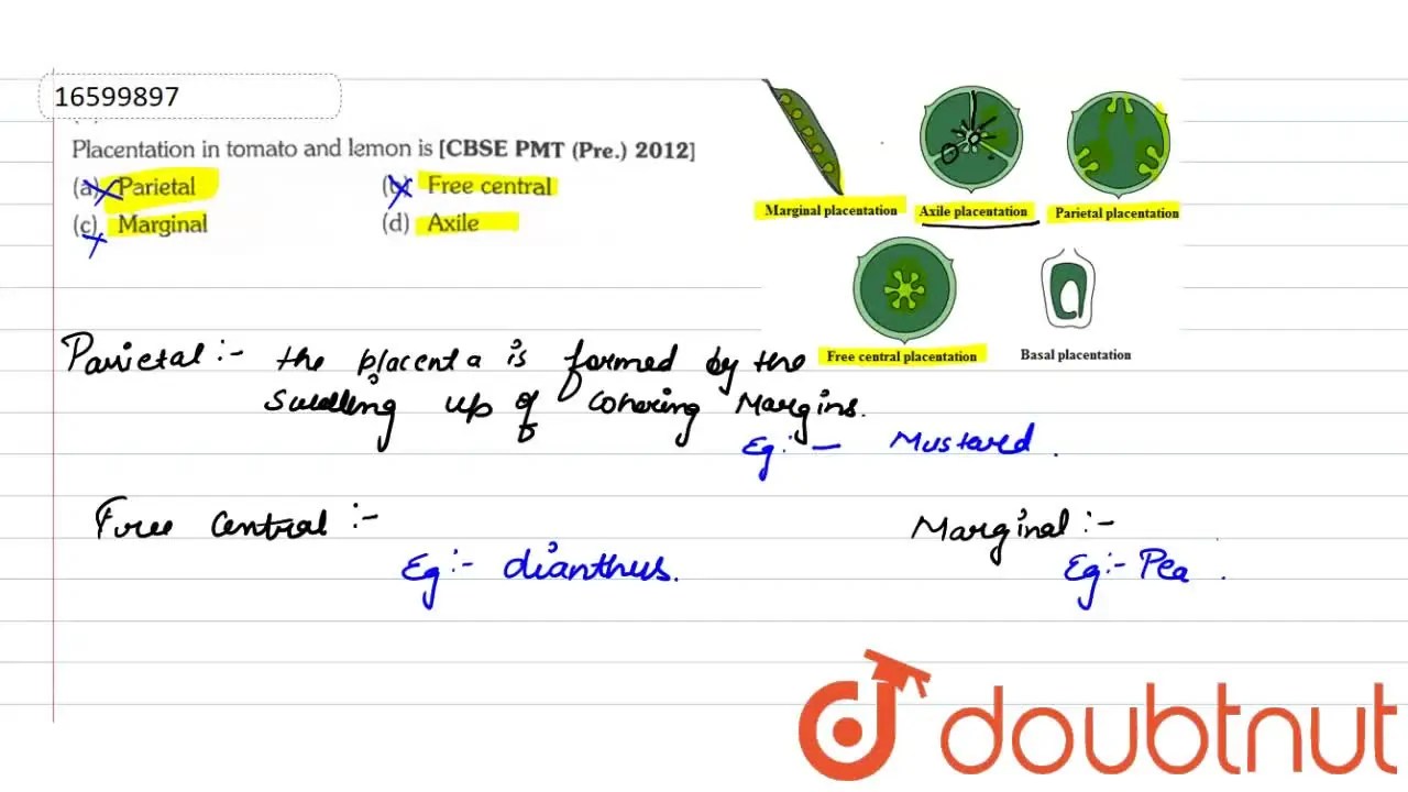 Placentation in tomato and lemon is