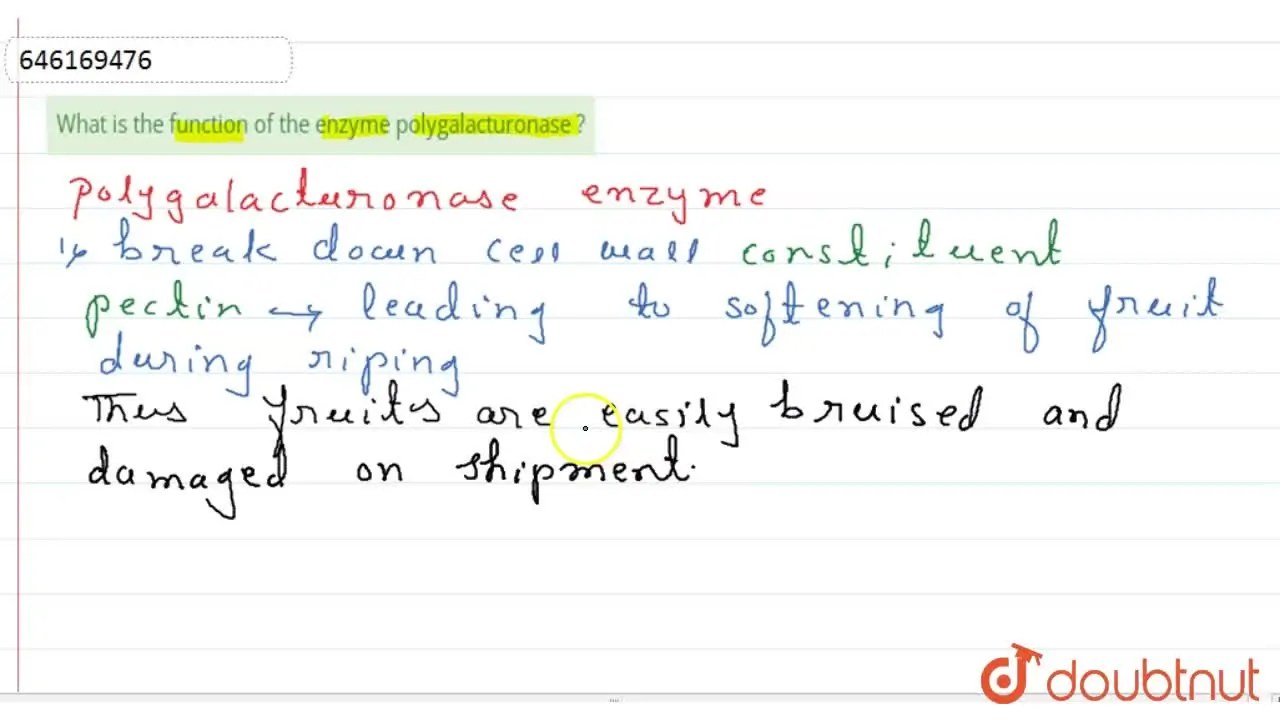 [Marathi Solution] What is the function of the enzyme polygalacturonas