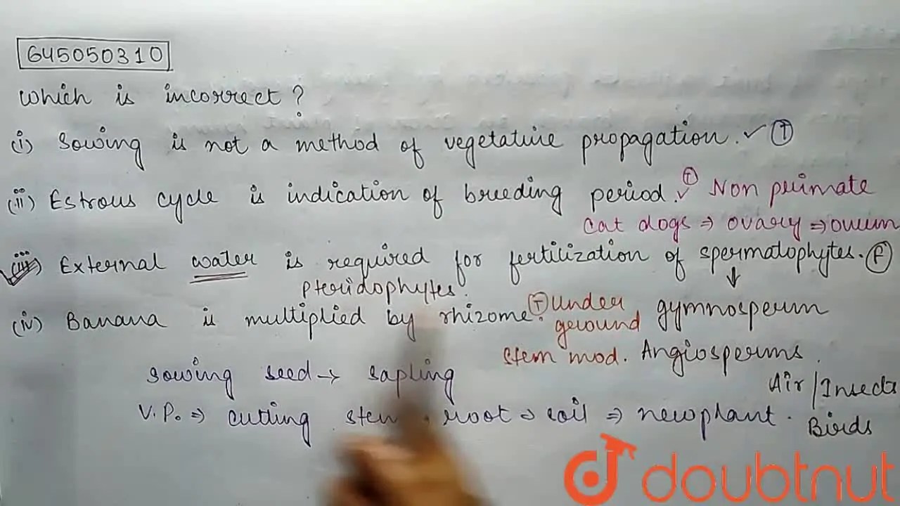 External water is required for fertilization of spermatophytes.
