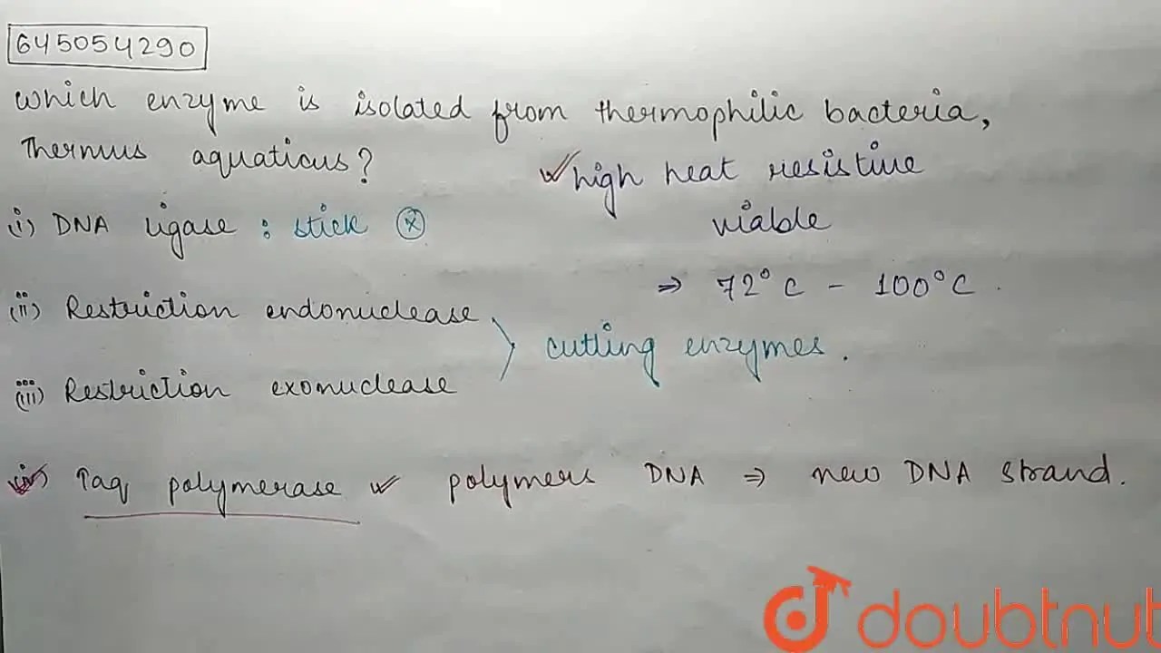 Which enzyme is isolated from thermophilic bacteria, Thermus aquaticus