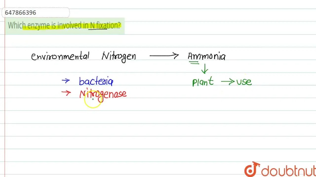 [Punjabi Solution] Which enzyme is involved in N fixation?