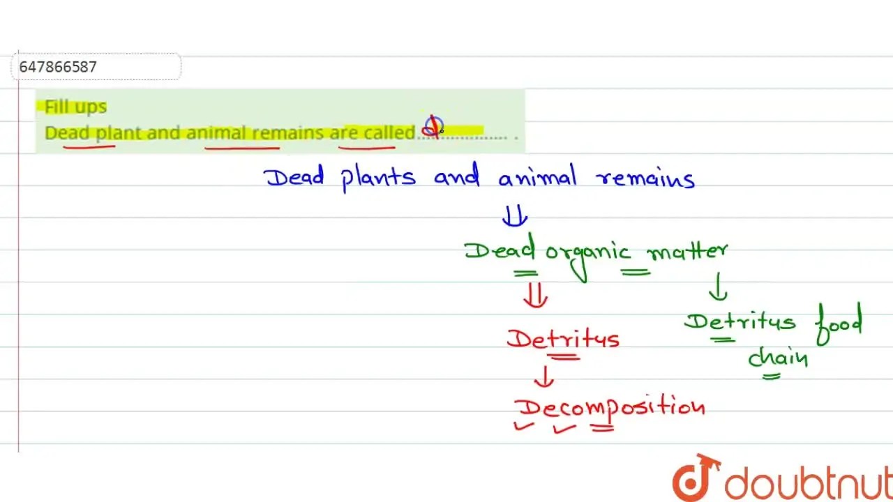 [Punjabi Solution] Fill ups Dead plant and animal remains are called……