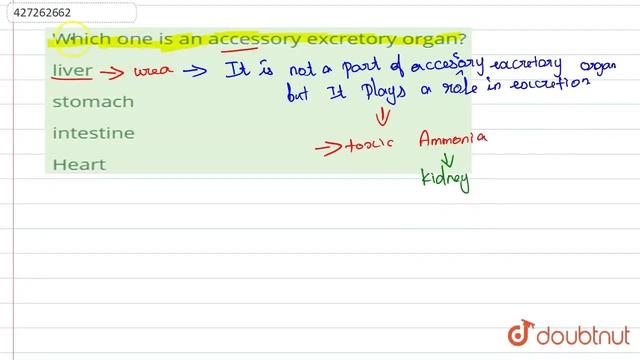 [Tamil Solution] Which one is an accessory excretory organ?