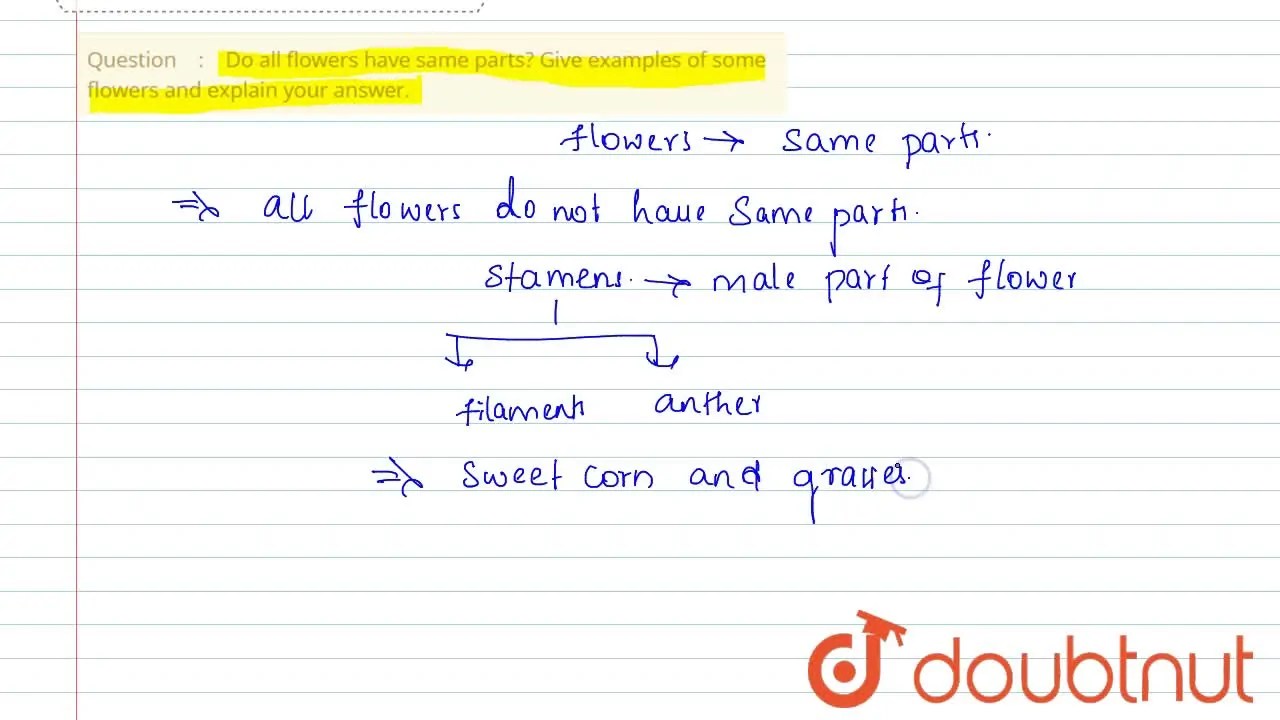 [Telugu Solution] Do all flowers have same parts? Give examples of som