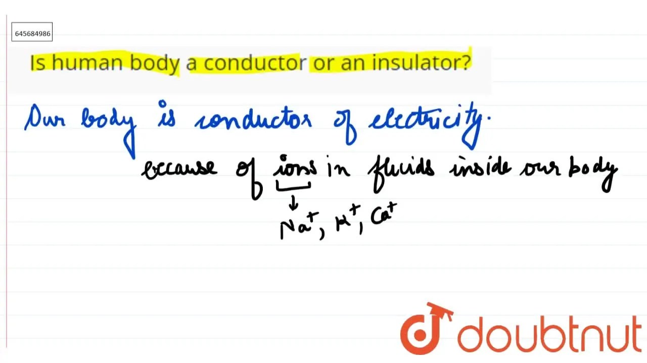 Is human body a conductor or an insulator?