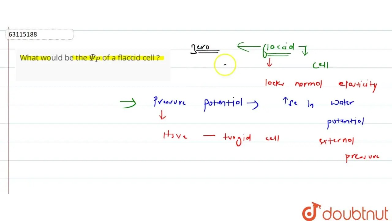 What would be the Psi(P) of a flaccid cell