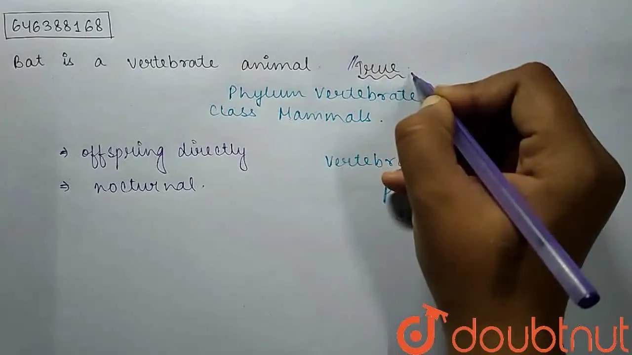 Bat is a vertebrate animal.