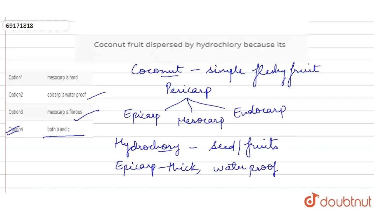 Coconut fruit dispersed by hydrochlory because its