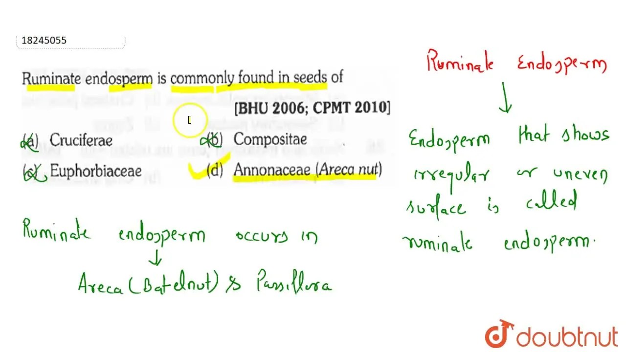 Ruminate endosperm is commonly found in seeds of