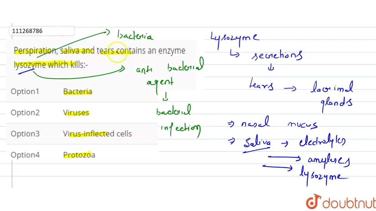 Perspiration, saliva and tears contains an enzyme Iysozyme which kills