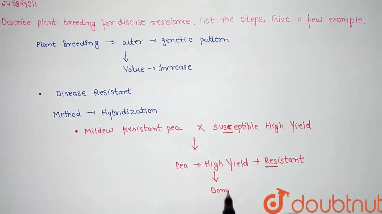 Describe plant breeding for disease resistant.List the steps.Give a fe