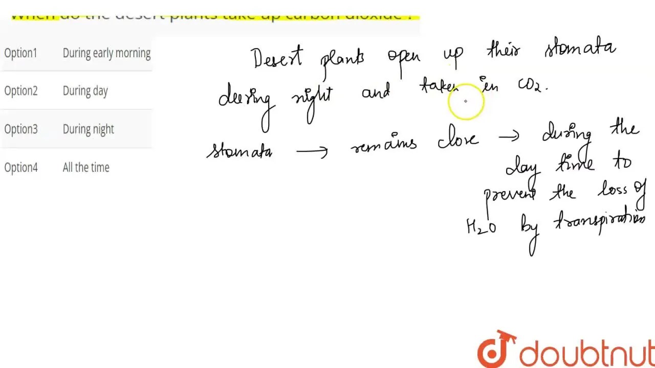 When do the desert plants take up carbon dioxide