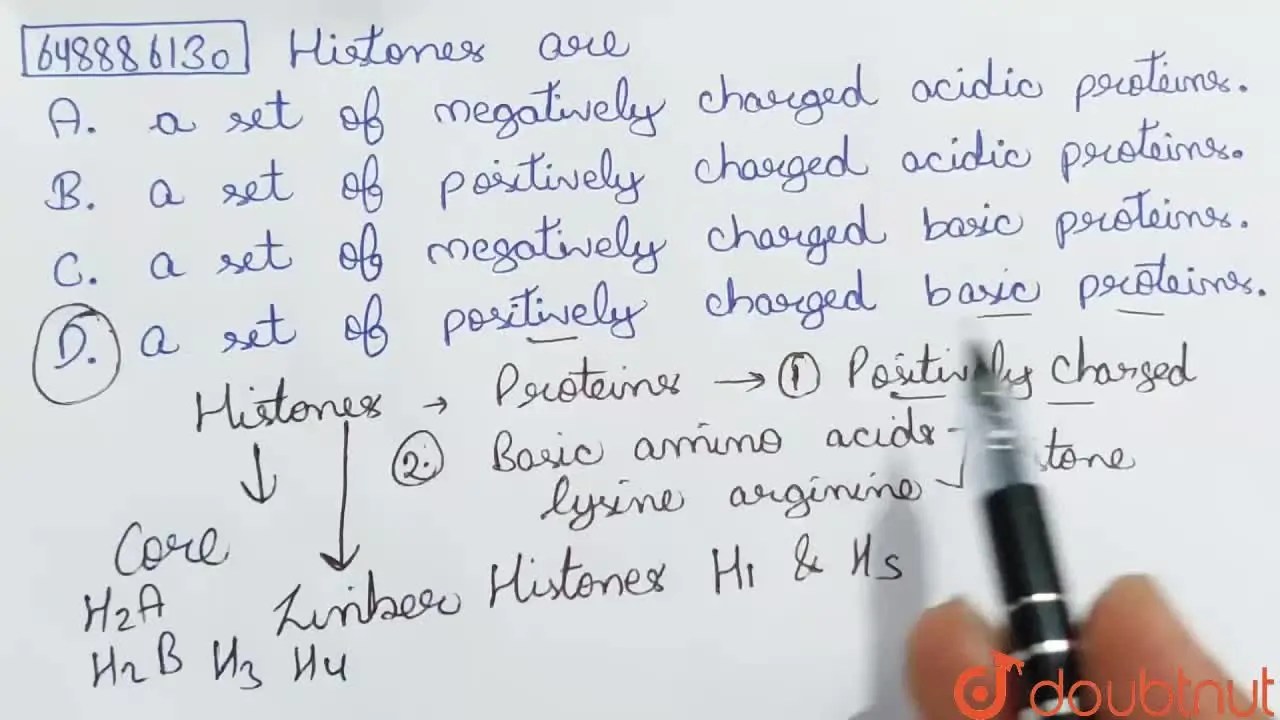 a set of negatively charged basic proteins