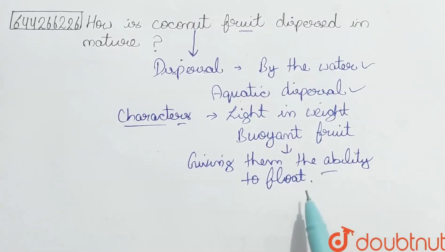 How is coconut fruit dispersed in nature