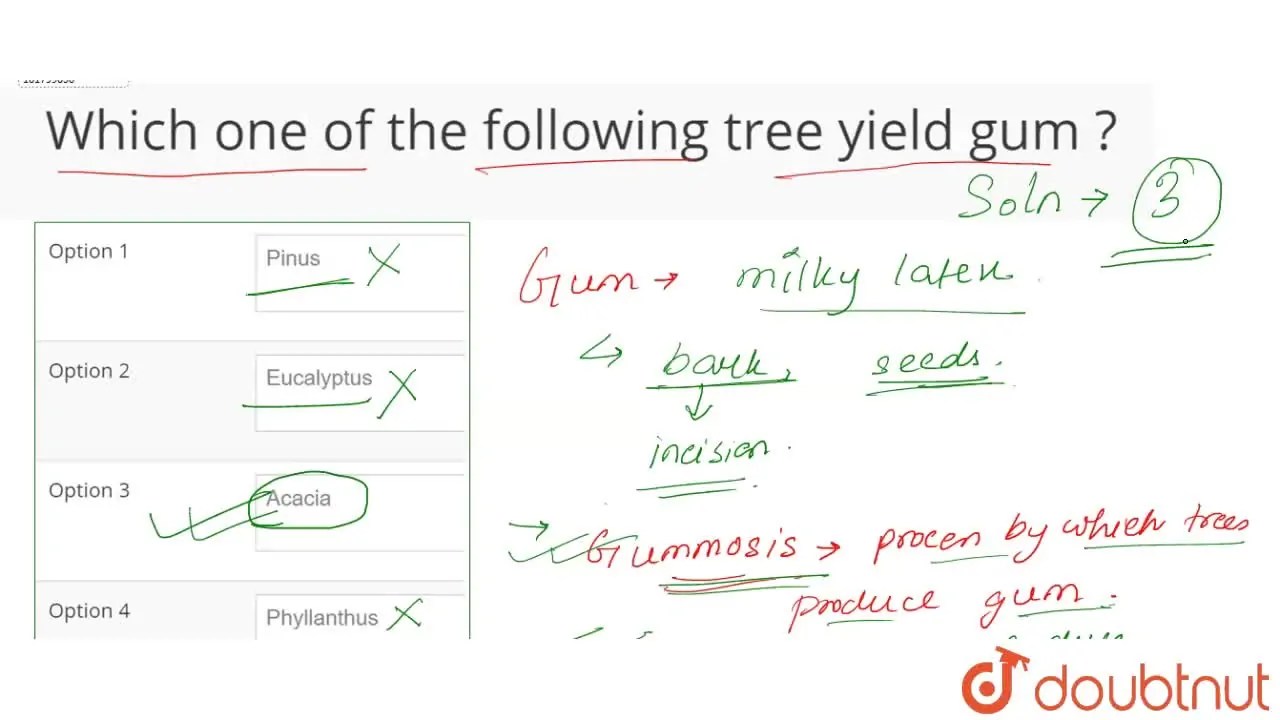[Bengali Solution] Which one of the following tree yield gum