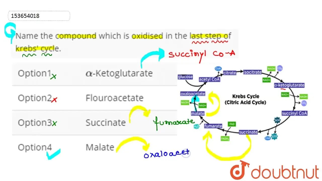 Name the compound which is oxidised in the last step of krebs' cycle.