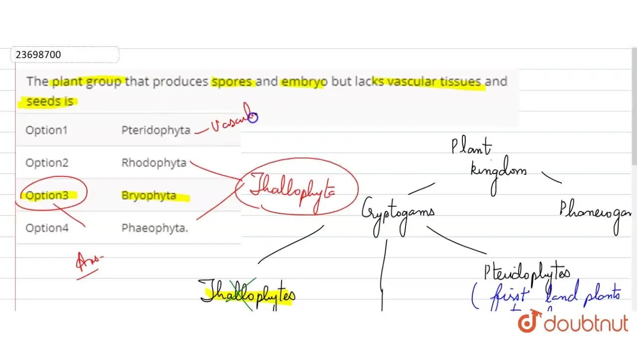 The plant group that produces spores and embryo but lacks vascular tis