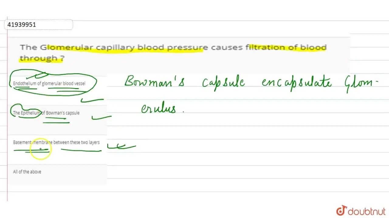 The Glomerular capillary blood pressure causes filtration of blood thr