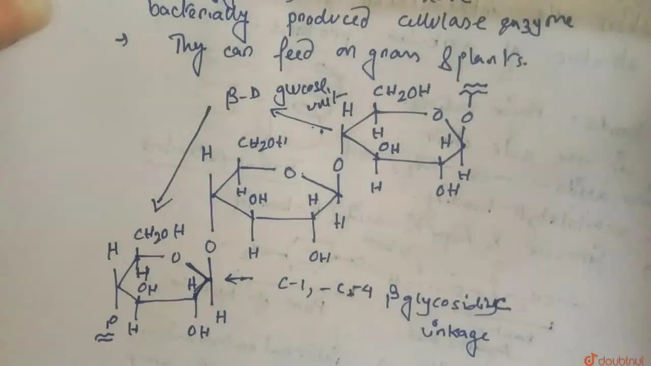 [Bengali] Grass is the food of herbivores but not for human beings. Wh
